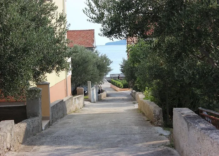 Jasenka ברודאריצה